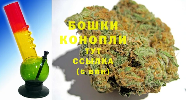 трава Балахна