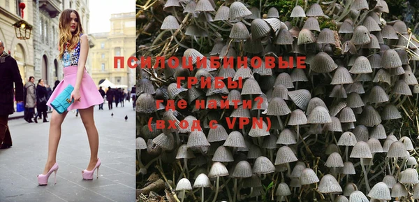 трава Балахна